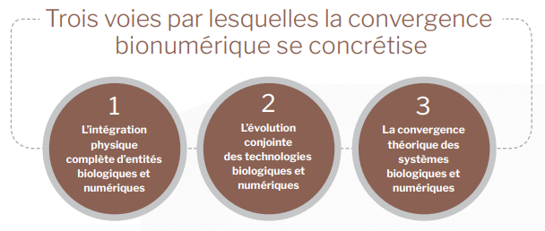 Version texte ci-dessous