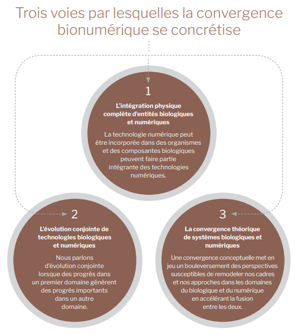 Version texte ci-dessous