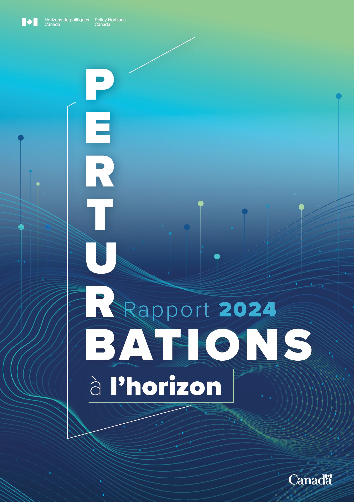 Perturbations à l’horizon Rapport 2024
