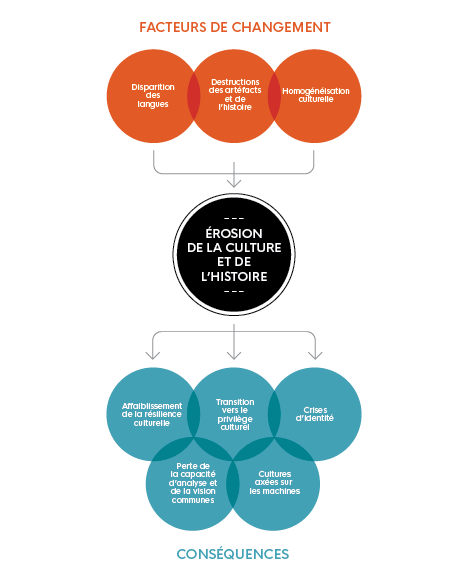 Cette image illustre 'Érosion de la culture et de l’histoire' et met en évidence 'les facteurs de changement' et 'les conséquences'.