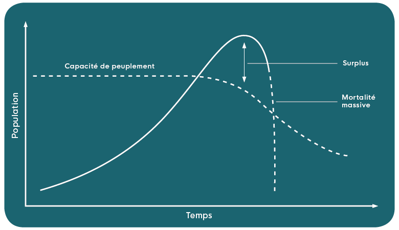 Cette image illustre la capacité de charge de la Terre avec "temps" représenté sur l'axe des x et "population" sur l'axe des ordonnées.